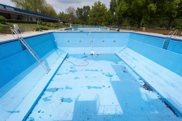 Best Water damage restoration process  in New Paris, IN
