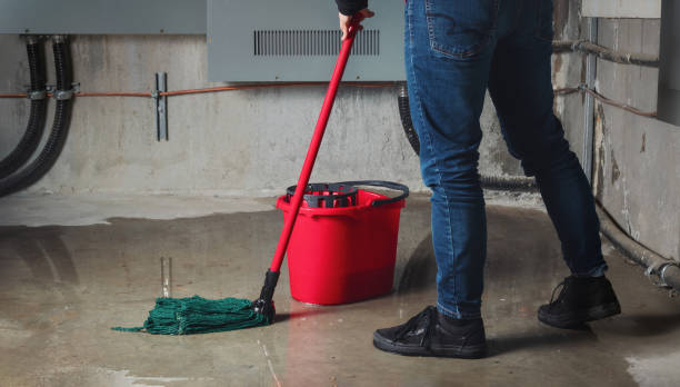 Best Carpet water damage restoration  in New Paris, IN